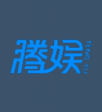 武汉--深圳市腾娱互动科技有限公司--2024实习生-游戏客户端开发（整理）